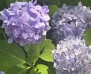 日常の些細な事やおしゃべりしたい時お聴きします 誰にでもおしゃべりで楽になれる事ありますよね。 イメージ2