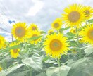 どんなことでも、小さなことでも相談のります いろんなご相談受け溜まってます！愚痴でも◎ イメージ1