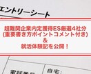 とにかくES突破！超大手企業突破ESを公開します 倍率300倍超え企業社員の内定ES4社分＆就活体験記を譲渡！ イメージ1
