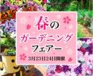 高品質なバナー制作します ママデザイナーが特別なデザインを提供します♪ イメージ4