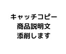 コピー・商品説明文をキャッチーなものに！添削します 食品企業での商品開発の経験を元に、魅力的な伝え方を伝授します イメージ1