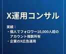 X運用のコンサルをします フォロワー1万人越えアカウント複数保有 イメージ1