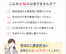 モニター価格｜ECサイト運営をまるっと代行します あなたのEC事業を支えるパートナーになります。 イメージ2