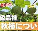 YouTubeのサムネ制作します 【実績あり】初心者向けYouTubeサムネをCanvaで制作 イメージ3