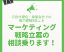 マーケティング戦略の相談にのります 経験に基づいたマーケティング戦略の壁打ちやアイデアが欲しい方 イメージ1