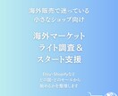 海外マーケットのライト調査＆出品スタート支援ます どの国・どのモールから始めるか1週間で方向性を出します イメージ1