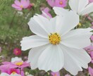 500円でお手伝いできることがあればします 愚痴を聞いて欲しい。アイデアを出して欲しい。などなど イメージ1