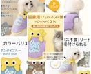 楽天・Amazon等、品質重視の商品画像制作します 「売上を動かす、設計された美しさ。」 イメージ4