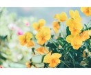 48時間、あなたの身近な存在になります おはようからお疲れ様。おやすみまであなたの身近な存在に！ イメージ8