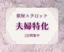 数秘術✦夫婦関係診断｜相性を見直し関係を改善します 夫婦のすれ違い・心の距離を読みパートナーとの関係を再構築 イメージ2