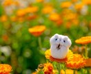 眠れないあなたのお話相手になります ねむれない～だれか話相手して！ってときにかけて♪ イメージ10
