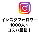 インスタフォロワー　宣伝します インスタフォロワー増やしたい方向け！ イメージ1