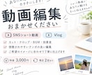 SNSショート動画・Vlogの動画編集承ります SNSショート動画や、Vlog編集もお任せください！ イメージ1