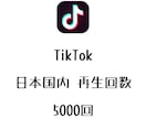 TikTok日本国内再生+5000回まで拡散します ⭐️高品質⭐️日本国内の再生回数を増やしたい方にオススメ! イメージ1