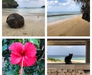 石垣島の写真提供します 川平湾、コンドイビーチ、サンセットビーチ、竹富島などの景観 イメージ1
