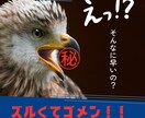 ずるい悪魔的手法！コピペだけで副業！！を伝授します 【注:.ノウハウコレクターにはもう戻れません】 イメージ1