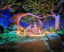 ディズニーに関する質問や相談に全力でのります パークに行く日程決めから相談したい...！というあなたへ イメージ2