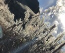 思い出をおしゃれな動画にします 既存のお持ちの動画を編集でおしゃれな動画にします。 イメージ4