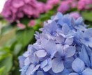悩みが少しでも楽になりますように…お話ききます 友達に話す感じで、チャットでいろいろお話しましょう イメージ1