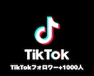 TikTokフォロワー+1,000人増加します ティックトック宣伝や運営、コンサルで+1,000人目指します イメージ1
