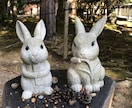 愛しいペットさんの気持ちをあなたにお届けします あなたの大事なペットは何を考えてるのか知りたくありませんか？ イメージ2