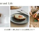 はじめての保育所選びをサポートします 新卒・第二新卒向け「私に合う！」保育所選び＆安心就職サポート イメージ2