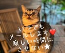 お話しききます イライラはためずに、話せばスッキリ イメージ1