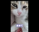 画像加工｜AIとPsで理想の画像を制作します 「こんな画像が欲しい」を、生成AIと丁寧な画像加工で形に。 イメージ3