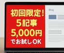 高品質ブログ5記事｜AI×人の手で丁寧に仕上げます 【初回限定】ChatGPT×人の手で自然かつ短納期を実現 イメージ4