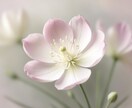 恋愛の迷いに寄り添うタロットで想いを読み取ります 見えない想いの糸を手繰り寄せます イメージ3