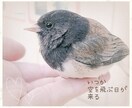 電話が苦手‥そんなピュアでシャイな貴方へ贈ります LINEのようにお話ししよ♪3日間500円お試しプラン♪ イメージ6