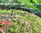 youtube台本最速で作ります 最安値の価格を最高の品質でお届けします。文字単価0.4円！ イメージ1