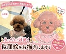 大切なペットの似顔絵お描きします ・ペットの成長記録や、亡くなった子との思い出に。 イメージ2