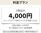 楽天で売れた経験者が商品説明文を作成しますます 8年の楽天実務とAIで、検索に強く購入につながる文章を イメージ6