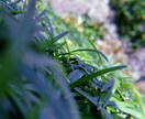 Instagramの投稿をお手伝いします 投稿したいけど何を投稿したら良いの？そんなお悩み解決します！ イメージ4