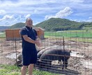 空き家の整備や、墓石の掃除を行います 『気になってる』『本当は行きたい』を代わりに行います。 イメージ3