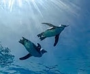 子連れ旅行のプランニングします ～子連れ旅行のプロがあなたの旅をサポートします～ イメージ4