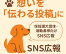 保護犬団体向けにInstagram画像作成します 想いを伝える“伝わる投稿”を一緒に作ります イメージ1