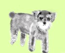 鉛筆で雰囲気ペットの似顔絵描きます SNSなどでペットのオリジナルアイコンが欲しい方に！ イメージ3