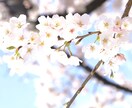 誰かと話がしたい！相談・愚痴・悩み等お聞きします 【お試し1分から】違うかな？と思ったらお切りください イメージ3