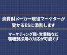 メーカー志望 新卒就活生の相談に徹底的に乗ります 消費財メーカー現役マーケターが受かるESにブラッシュアップ！ イメージ1