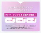 安心安全に日本人アクティブフォロワー増やします 「インスタで人気のサービスがココナラに進出！」10日間 イメージ3