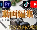 youtube等の動画をカット、編集いたします 15分以内の動画編集をカットやテロップ、SE等丸ごとお任せ イメージ1