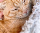 愚痴や相談のります 家族や友人に相談できないこと、愚痴などなんでも聞きます イメージ1