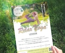 女性向けデザイン　チラシ・フライヤー作成します 実績づくりのためモニター価格でデザイン作成します！ イメージ3