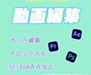 動画編集お手伝いします 動画編集、字幕入れ、サムネ作成いたします。 イメージ1