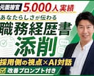 面接5,000人の元人事が職務経歴書を添削します 採用側の視点で弱点を発見！受講後も生成AIで応募書類を改善 イメージ1