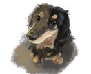 ペットの写真をそのままイラストにします あなたのうちの子をふわっと油絵風の可愛いイラストに！ イメージ1