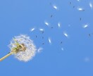 めっちゃ大好きなあの人を振り向かせる方法を教えます 恋愛アドバイザーが片想いの悩みに寄り添い幸せに導きます！！！ イメージ3