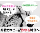 セールスに特化したAIで売れるコピーになります 16技法から選び売れる文章に。プロ仕様の刺さる言葉にリライト イメージ4